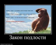 Закон подлости.webp