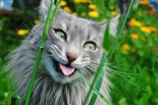 Cqe46lYwfBQ.webp