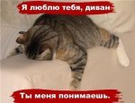 v1FmrRLml14.jpg