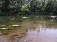 DSCF0898.webp
