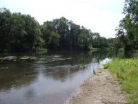 DSCF0899.webp