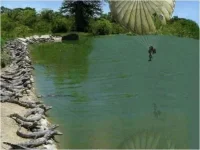 1185250542_1.webp