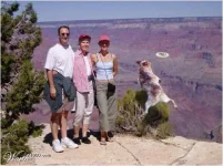 1185250542_4.webp