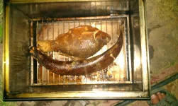 IMAG0186.webp