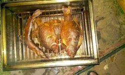 IMAG0185-.webp