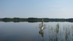 IMG_4315.jpg
