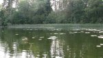 IMG_4336.jpg