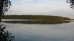 IMG_4350.jpg