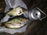 20120724_023104.webp