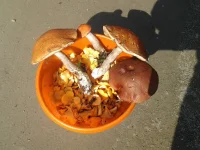 20120729_161754.webp