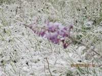 IMG_1283.webp