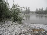 IMG_1284.jpg