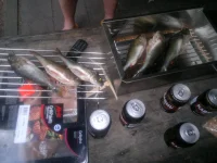 27072012617.webp