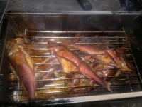 27072012619.webp