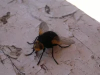 30072012656.webp