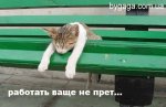 1326455955_friday.jpg