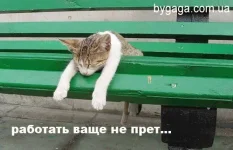 1326455955_friday.webp