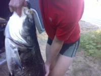 07082012533.webp