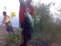07082012534.webp