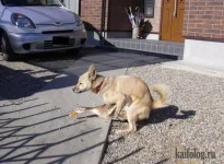 3d71340c490f.webp