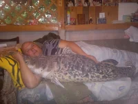 11082012742.webp