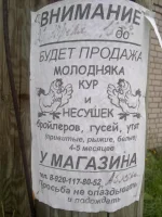 01082012707.webp