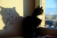 кот.webp