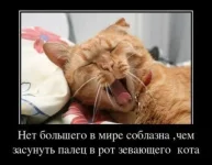 134451044991438.webp