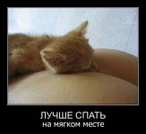 134485282555354.webp