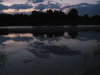 Копия IMG_4685.webp