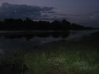 Копия IMG_4686.webp
