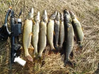 2012-08-12 18.10.03_mod.webp