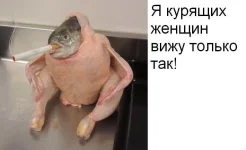 y_1b9b3a48.webp