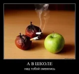9qZp4Lsro8Y.webp