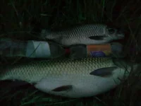 08082012102.webp