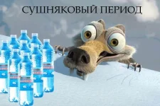 podborka_534_01.webp