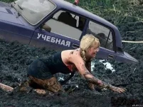324.webp