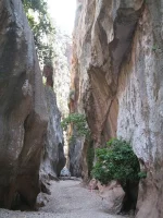 Sa Calobra.webp