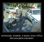 4.webp