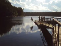полет седрика.webp