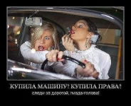 getImage (5).webp