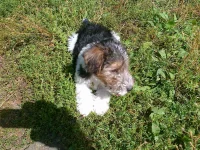 19082012161.webp