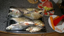 2012-08-19-323.webp