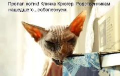 Крюгер.webp