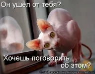 09312dcf2f8b06407e842d443848115f.webp