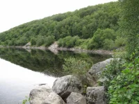 15.webp