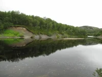 16.webp
