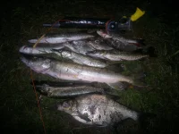 21082012763.webp