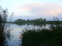 Изображение 773.webp