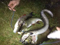 MoscowRiverNeverSleeps1.webp